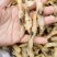 蛏王干，干度有九成支持一件代发，有大量现货