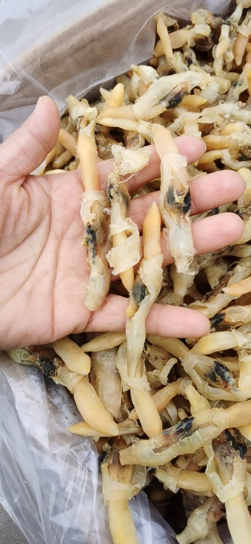 蛏王干，干度有九成支持一件代发，有大量现货