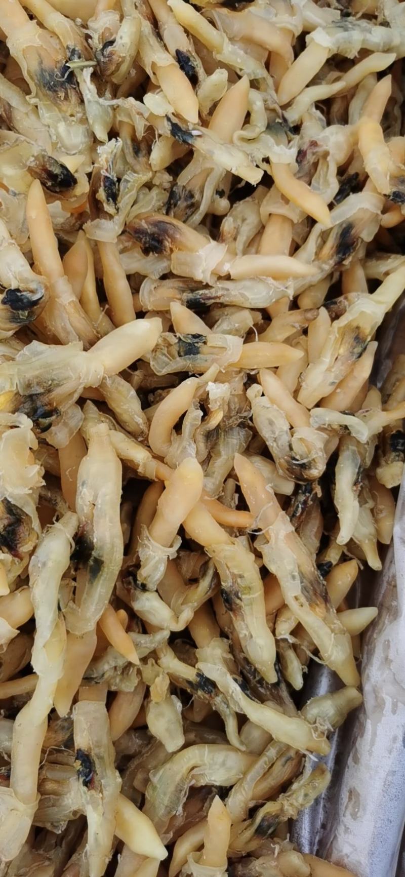蛏王干，干度有九成支持一件代发，有大量现货