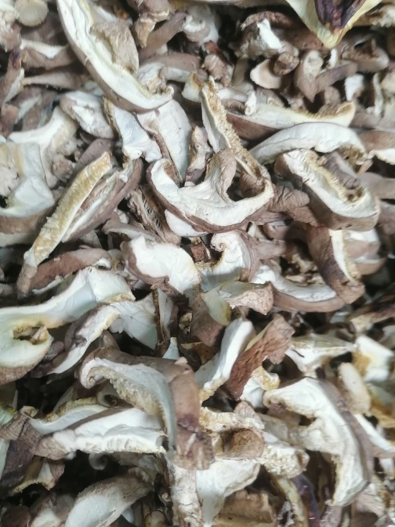 产地直供优质香菇菇片