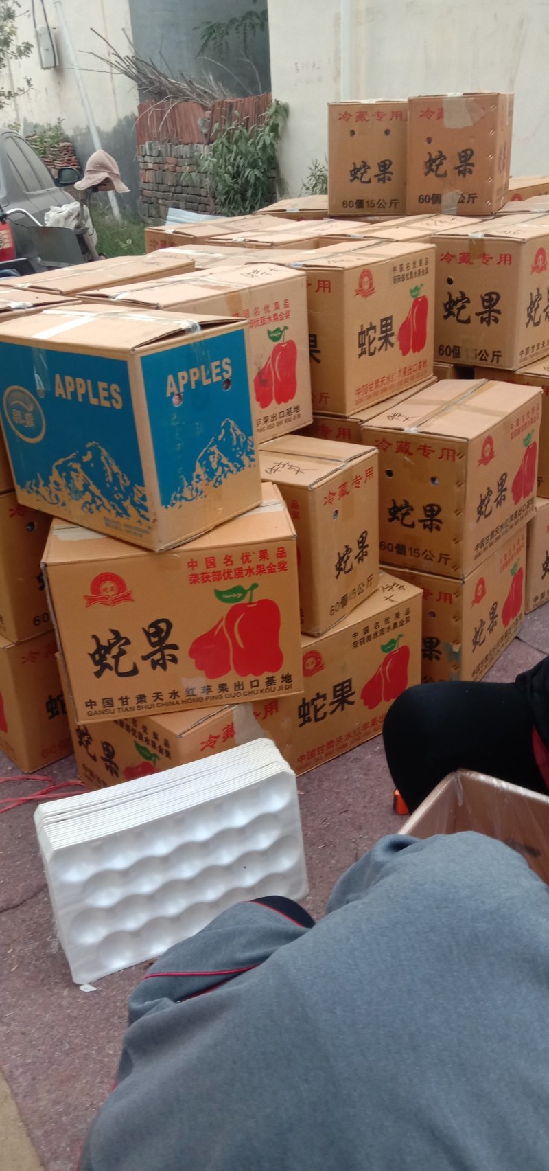 精品冰糖心富士苹果大量上市颜色鲜艳个头大欢迎咨询