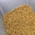 紫花苜蓿草种子鸡牛羊兔子鱼饲料草籽高产耐寒四季多年生牧草