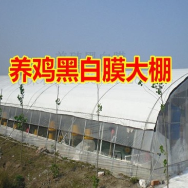 大棚骨架热镀锌花卉棚西瓜大棚养鸡鸭鹅，蔬菜大棚。葡萄大棚