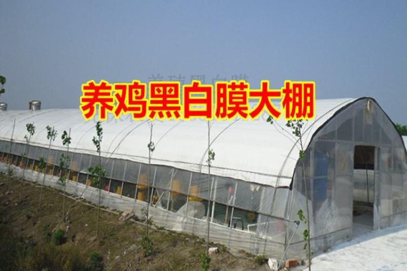 大棚骨架热镀锌花卉棚西瓜大棚养鸡鸭鹅，蔬菜大棚。葡萄大棚