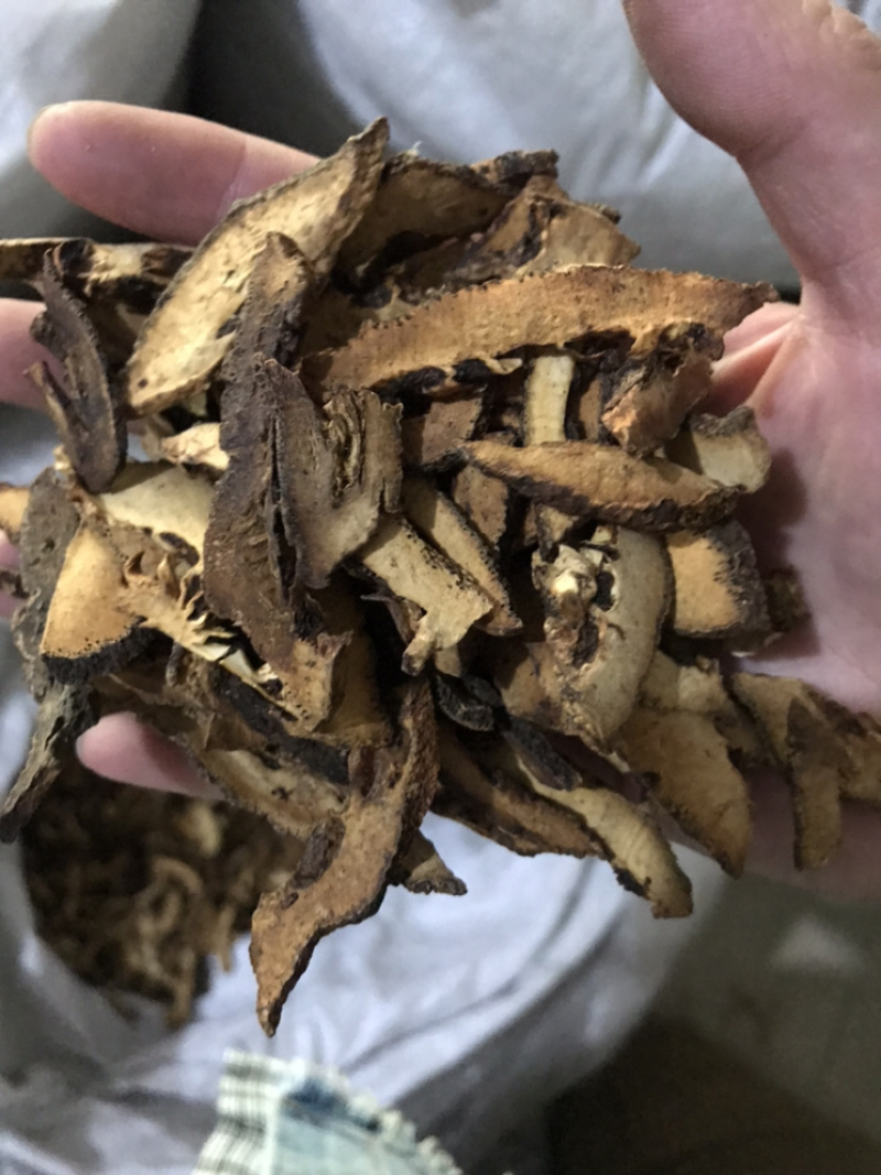 枳壳保庆药业批发枳壳实物拍摄量大从优炒枳壳