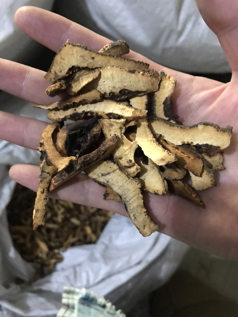 枳壳保庆药业批发枳壳实物拍摄量大从优炒枳壳