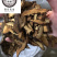 枳壳保庆药业批发枳壳实物拍摄量大从优炒枳壳