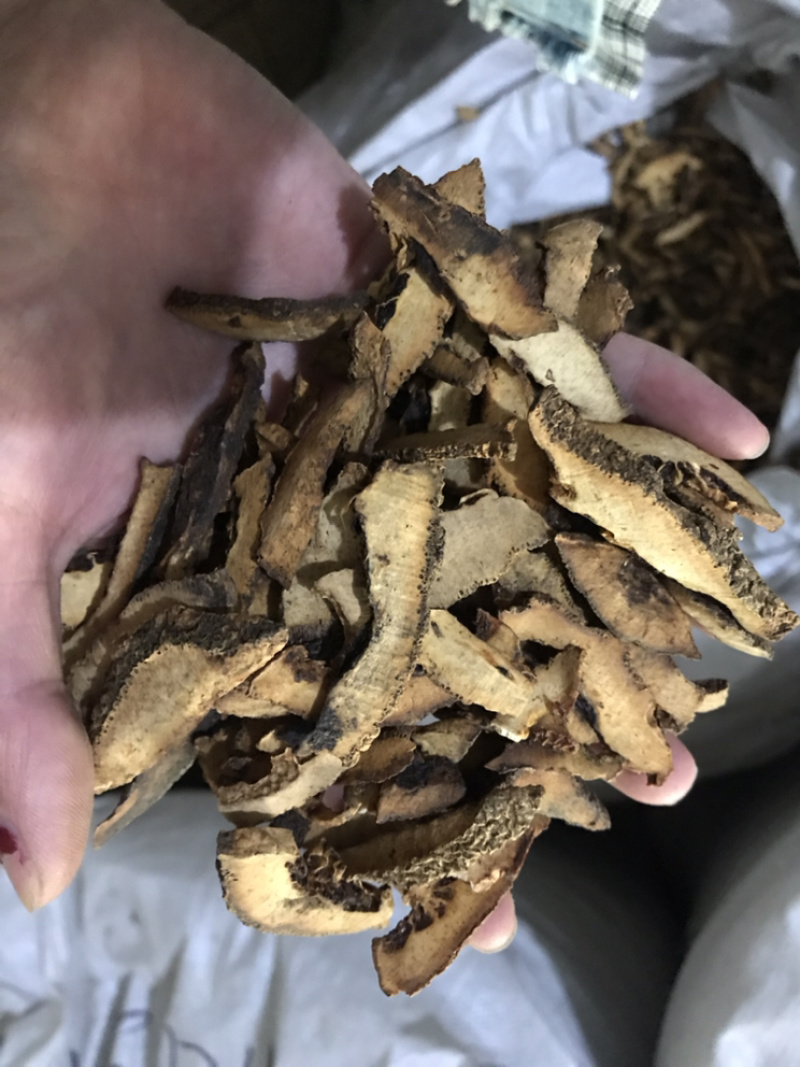 枳壳保庆药业批发枳壳实物拍摄量大从优炒枳壳
