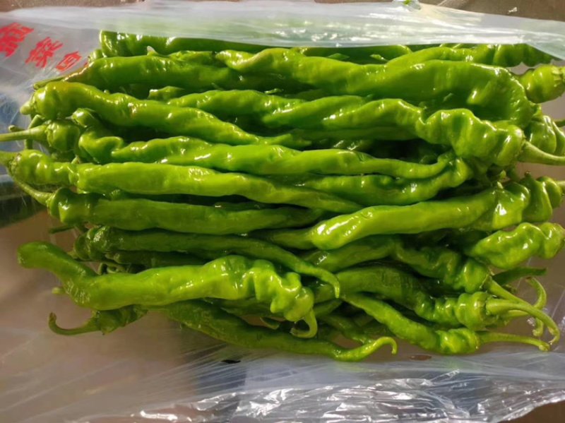 辣椒精品，各种品种辣椒