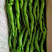辣椒精品，各种品种辣椒