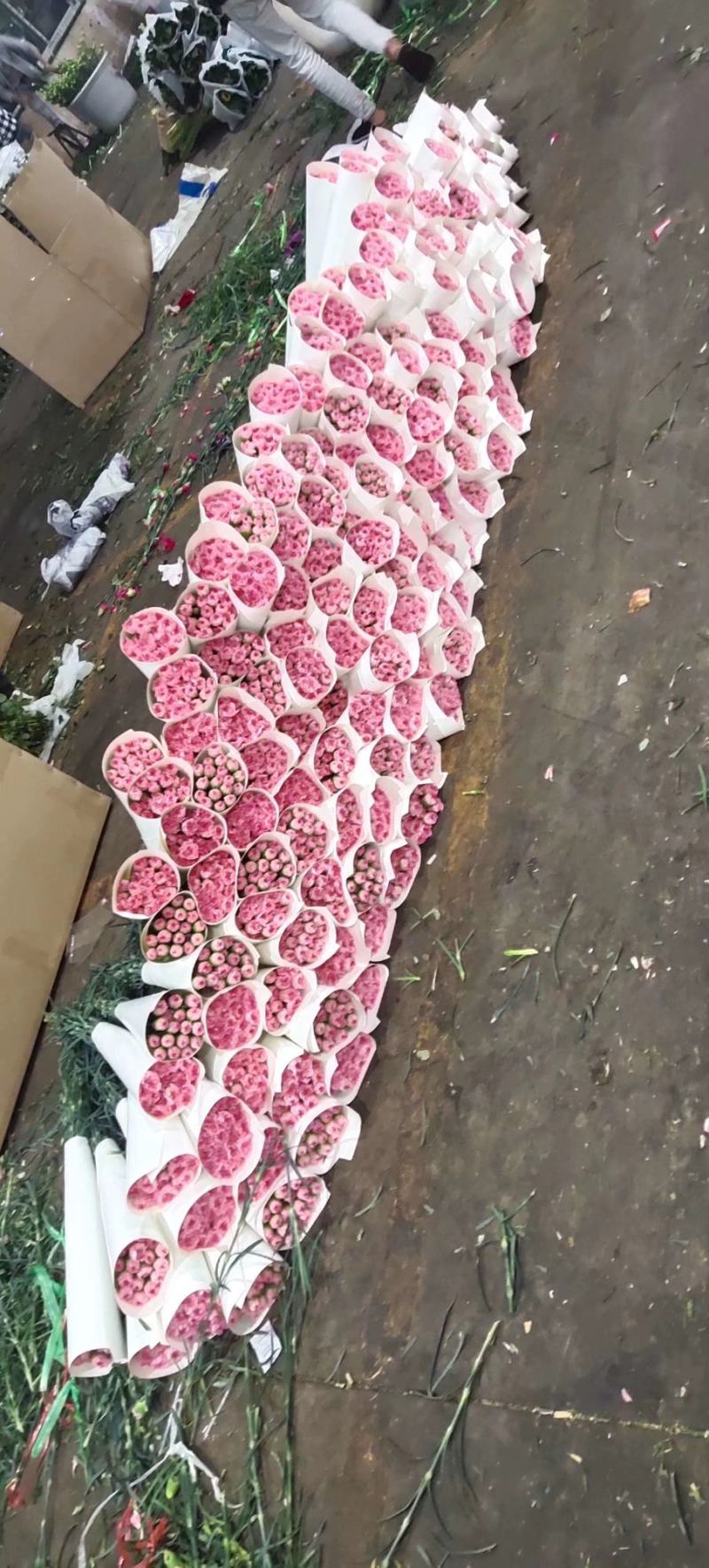 康乃馨鲜切花单头昆明斗南基地一件代发批发落地配