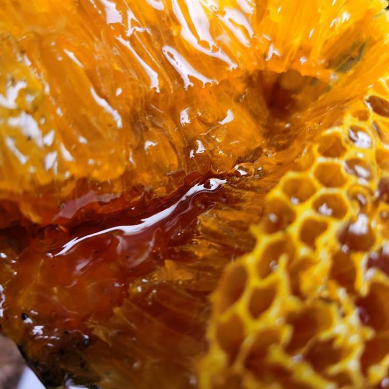 源生态绿色土蜂蜜,美味健康食品