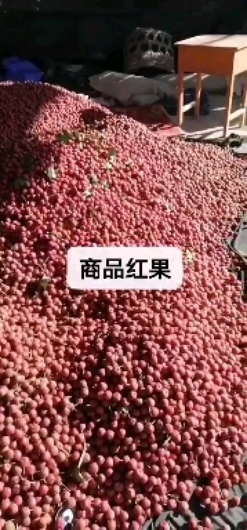精品红果，山里红，大量上市