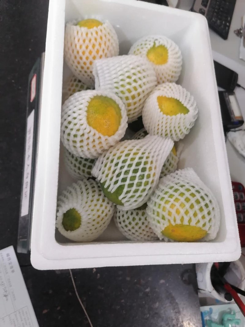 蜜橘一件代发便宜了大量上市