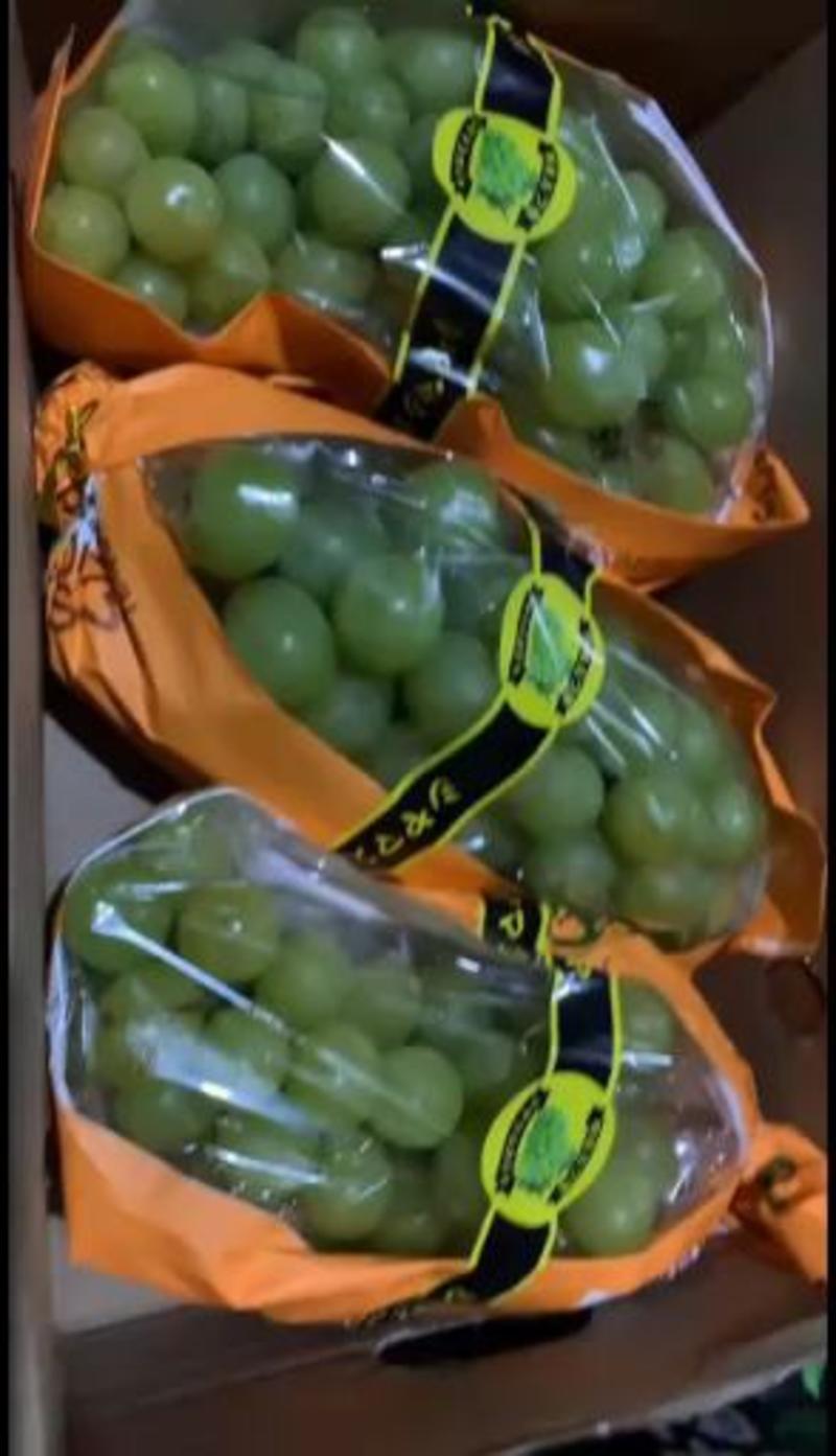 葡萄库存礼品盒精品大量有货，诚邀各地水果商。