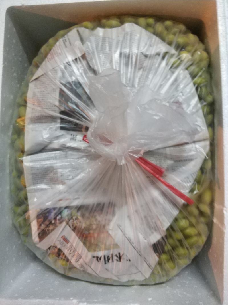 橄榄香种橄榄颜色漂亮口感香喉底甘回味无穷