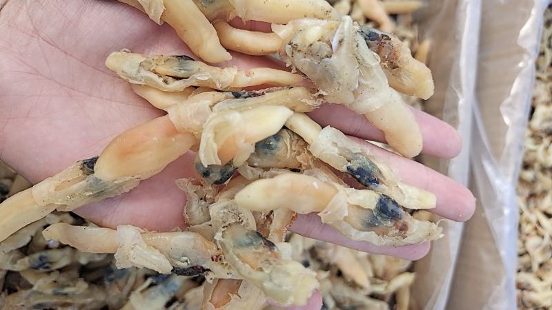 蛏子干，大量新货，干度好，淡干的不咸，无任何杂质，