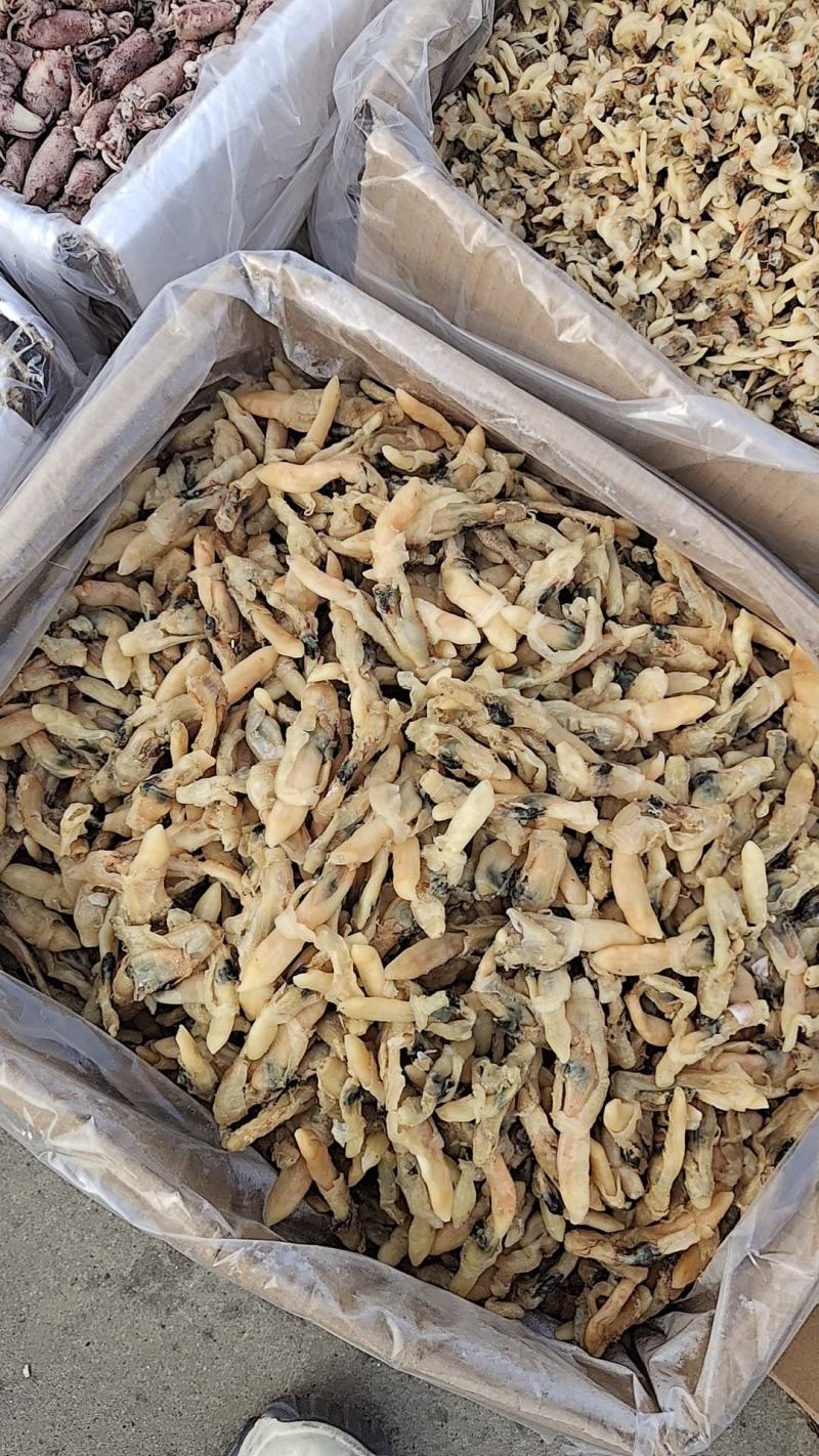 蛏子干，大量新货，干度好，淡干的不咸，无任何杂质，