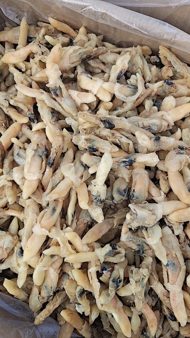 蛏子干，大量新货，干度好，淡干的不咸，无任何杂质，