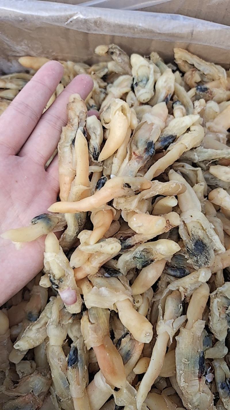 蛏子干，大量新货，干度好，淡干的不咸，无任何杂质，