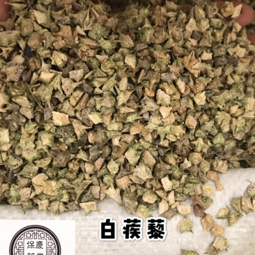 白疾黎蒺藜白蒺藜三角刺野菱角蒺藜刺刺蒺藜炒蒺藜炒疾黎