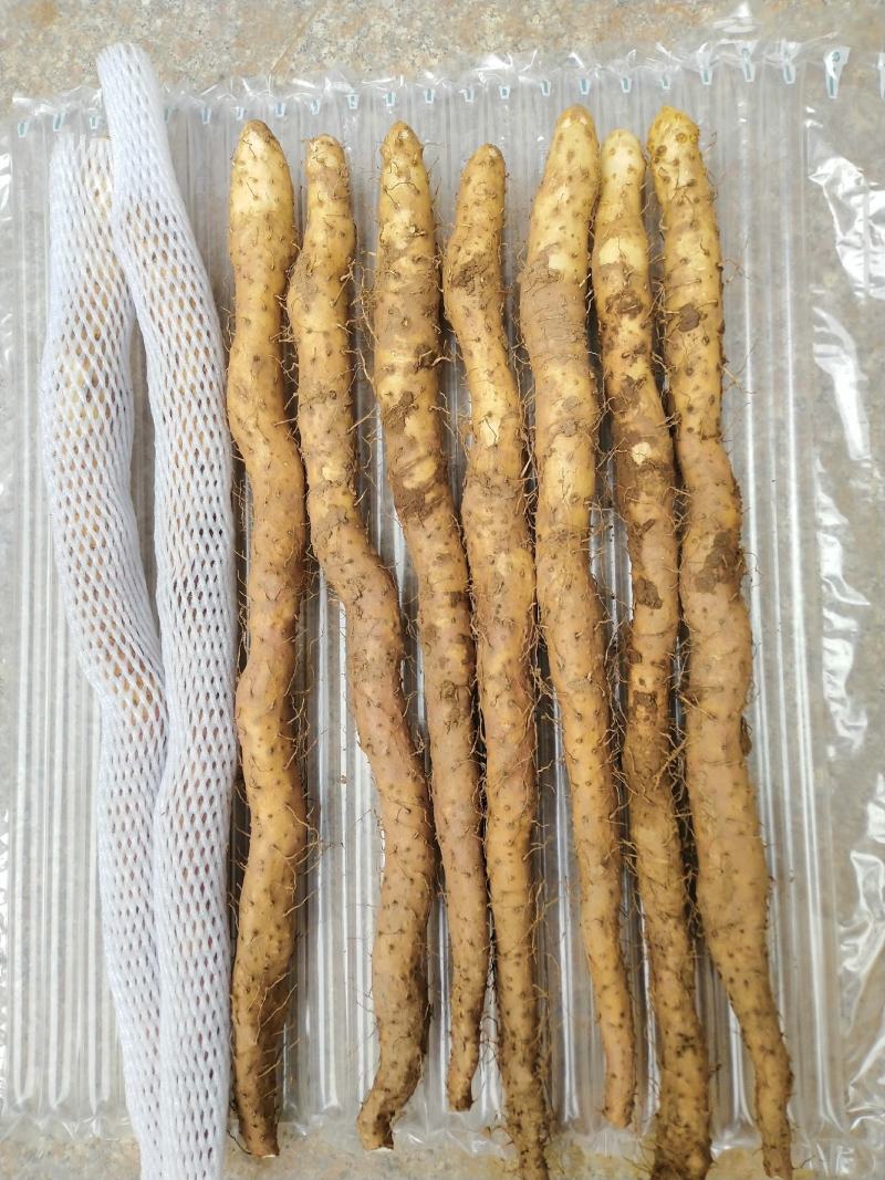正宗焦作纯垆土地铁棍山药假一赔十正宗