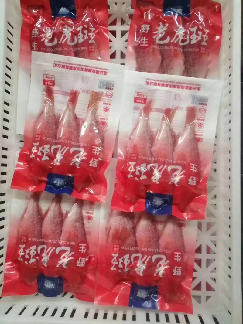 红石斑鱼，一包450/克，热门产品上海全国发货