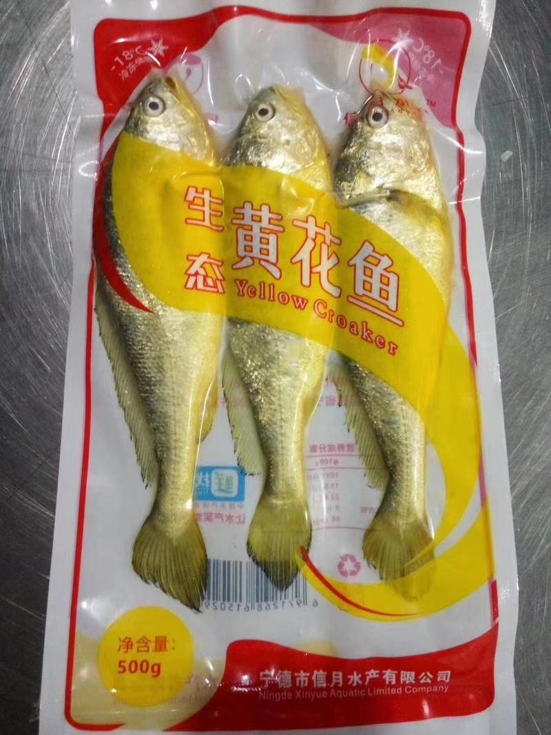 大黄鱼全规格，上海大量发货