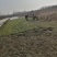 佛甲草基地一手货源大量出售苗圃大量供应