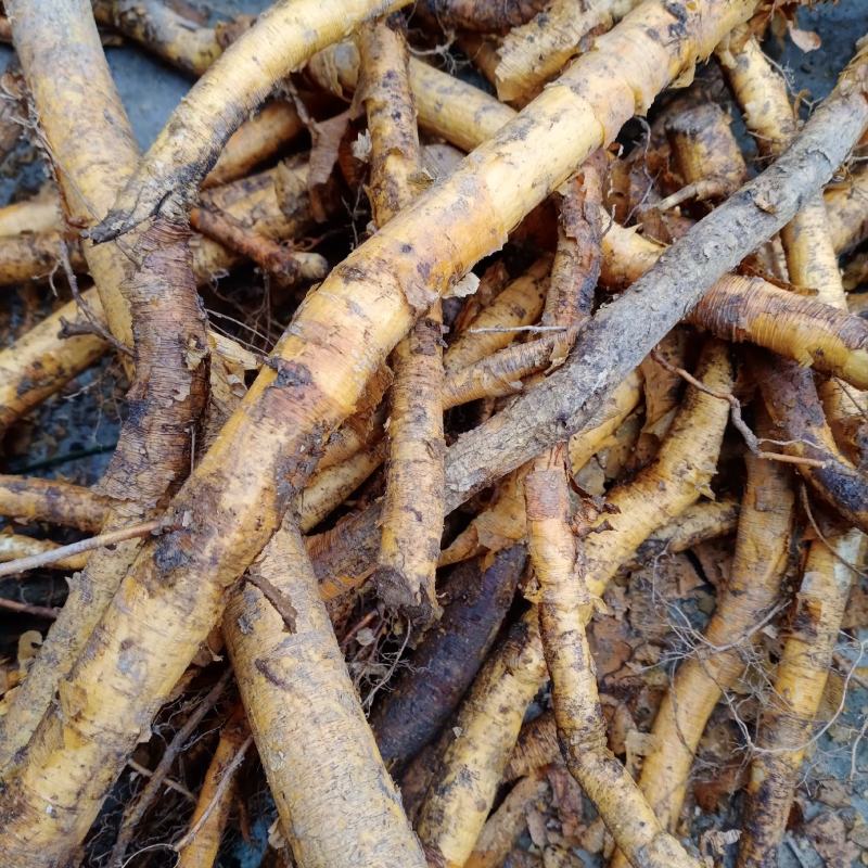 穿破石纯野生，贵州本地大货纯根切片切断一手货源