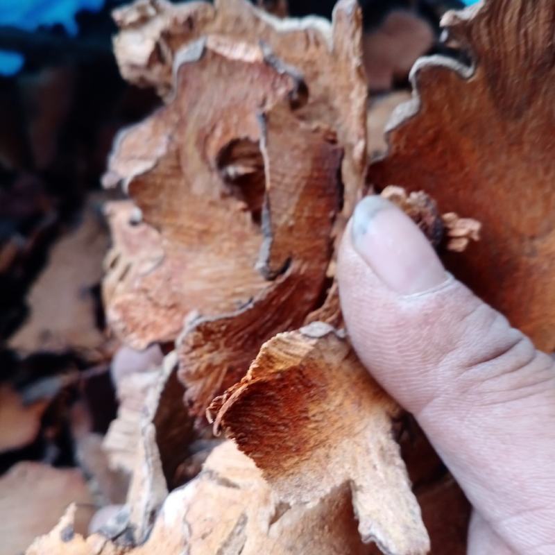 红土茯苓全野生货，白土茯苓大货批发大货欢迎订购