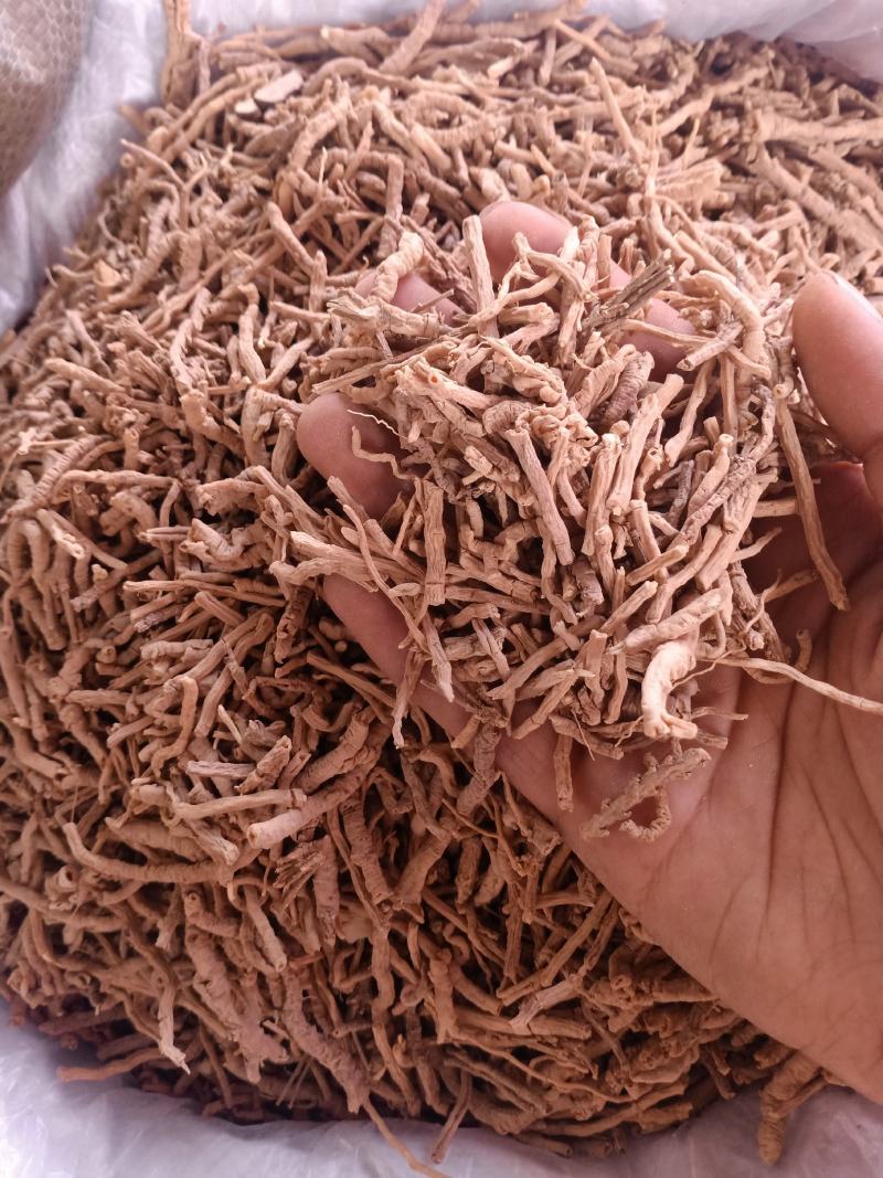 远志大货直销批发零售规格齐全另有蜜制远志