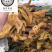 虎杖现货实物拍摄虎杖保庆药业虎掌虎杖根过筛