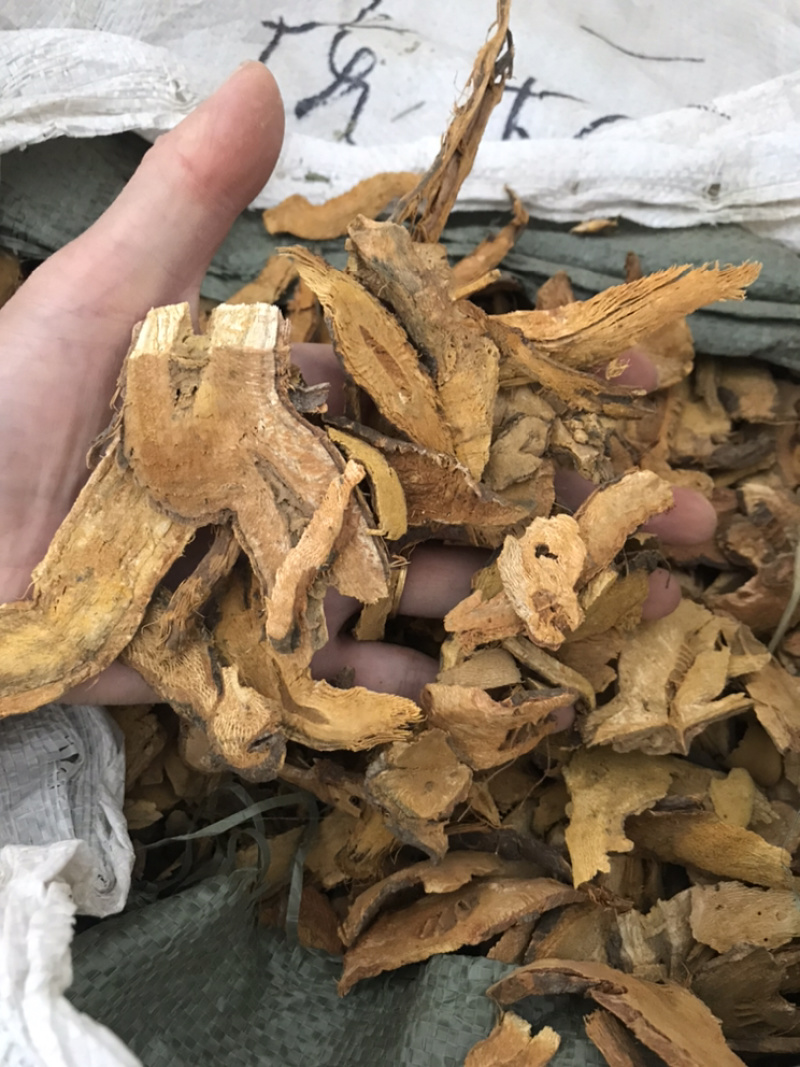 虎杖现货实物拍摄虎杖保庆药业虎掌虎杖根过筛