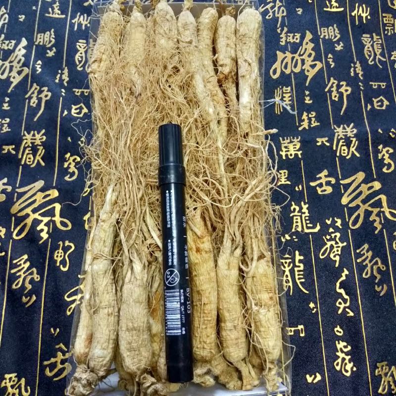 人参长白山精品生晒参足干整只新货自然晾晒