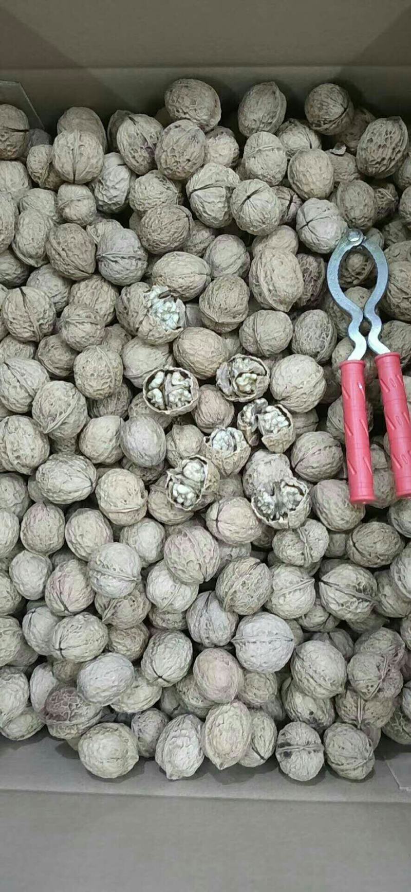 正宗新疆185纸皮核桃大果香脆可口核桃一手货源批发