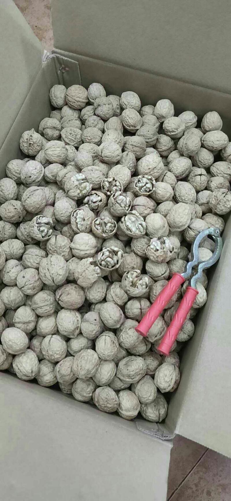 正宗新疆185纸皮核桃大果香脆可口核桃一手货源批发