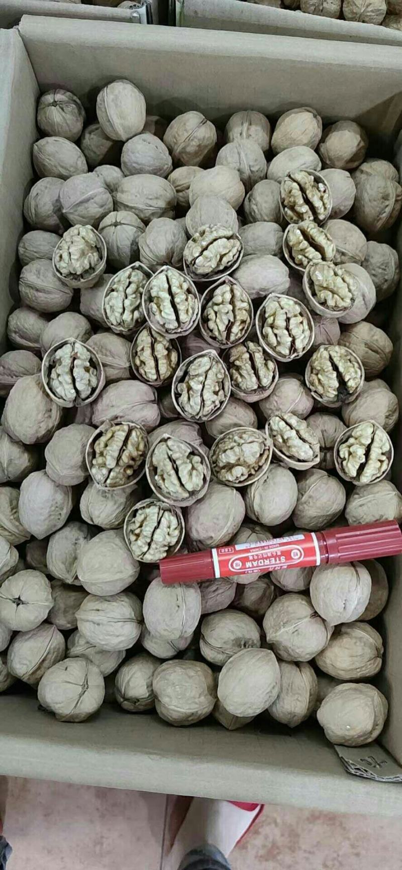正宗新疆185纸皮核桃大果香脆可口核桃一手货源批发