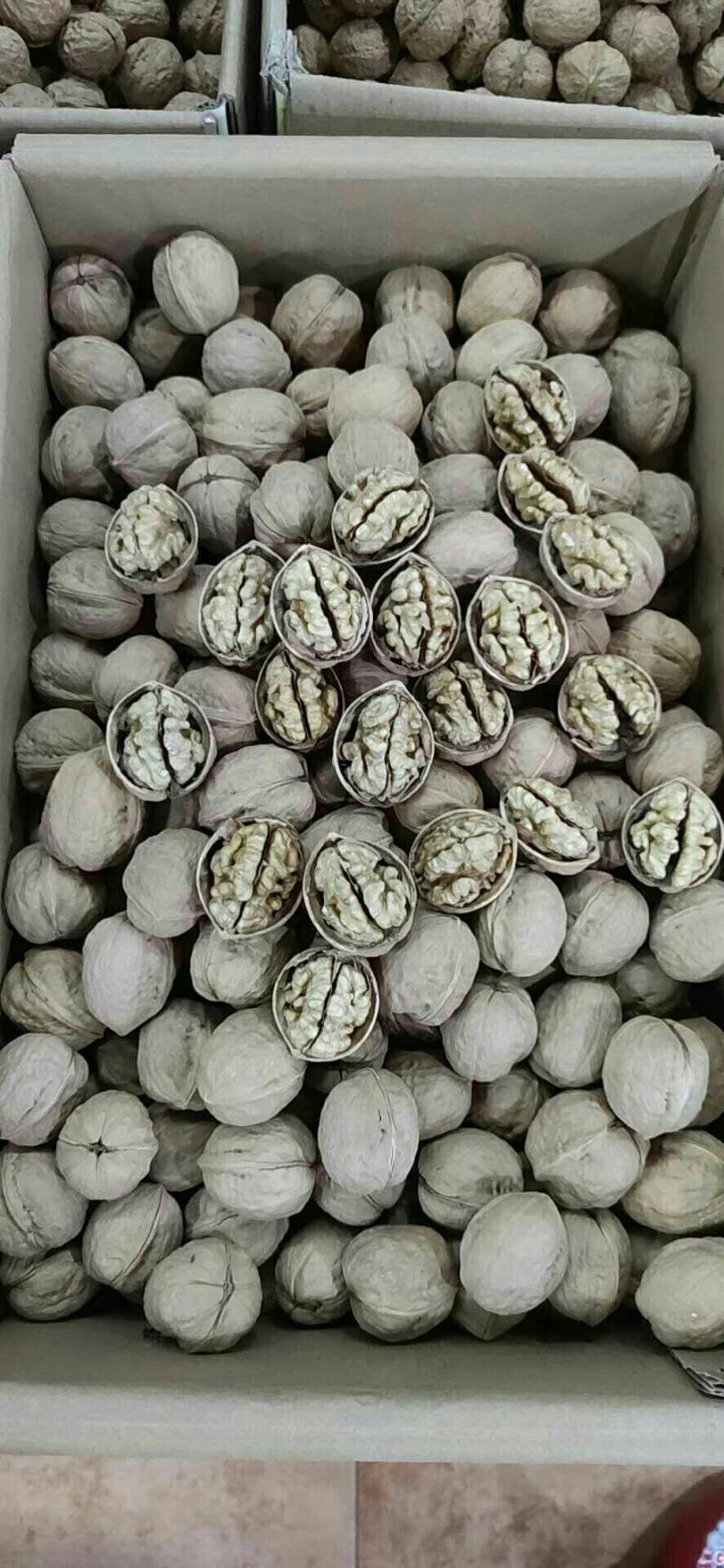 正宗新疆185纸皮核桃大果香脆可口核桃一手货源批发