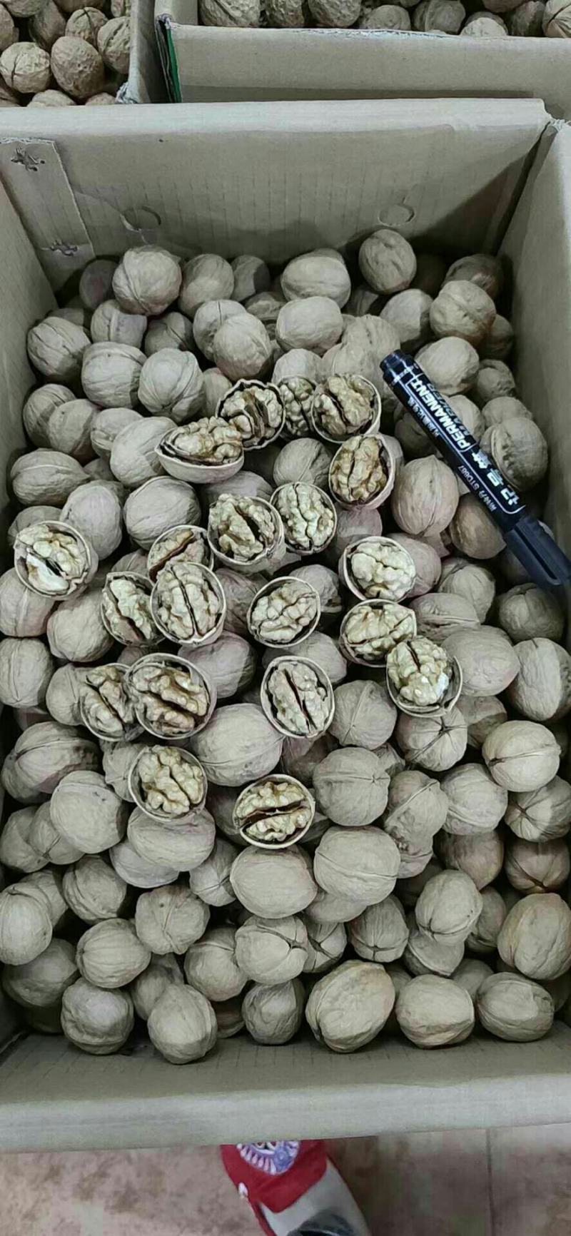正宗新疆185纸皮核桃大果香脆可口核桃一手货源批发