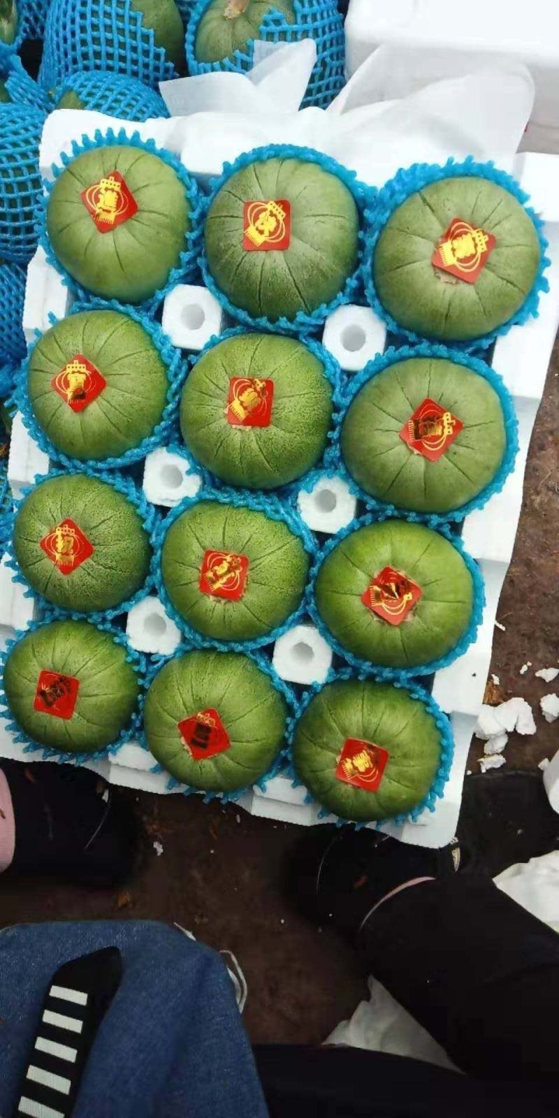 【荐】绿宝甜瓜大量上市，产地一手货源，口感好果型正价不高
