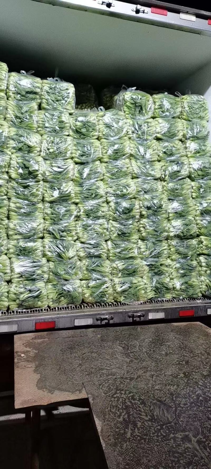 精品油菜安徽万亩上海青大中小颗油菜大量供应量大从优