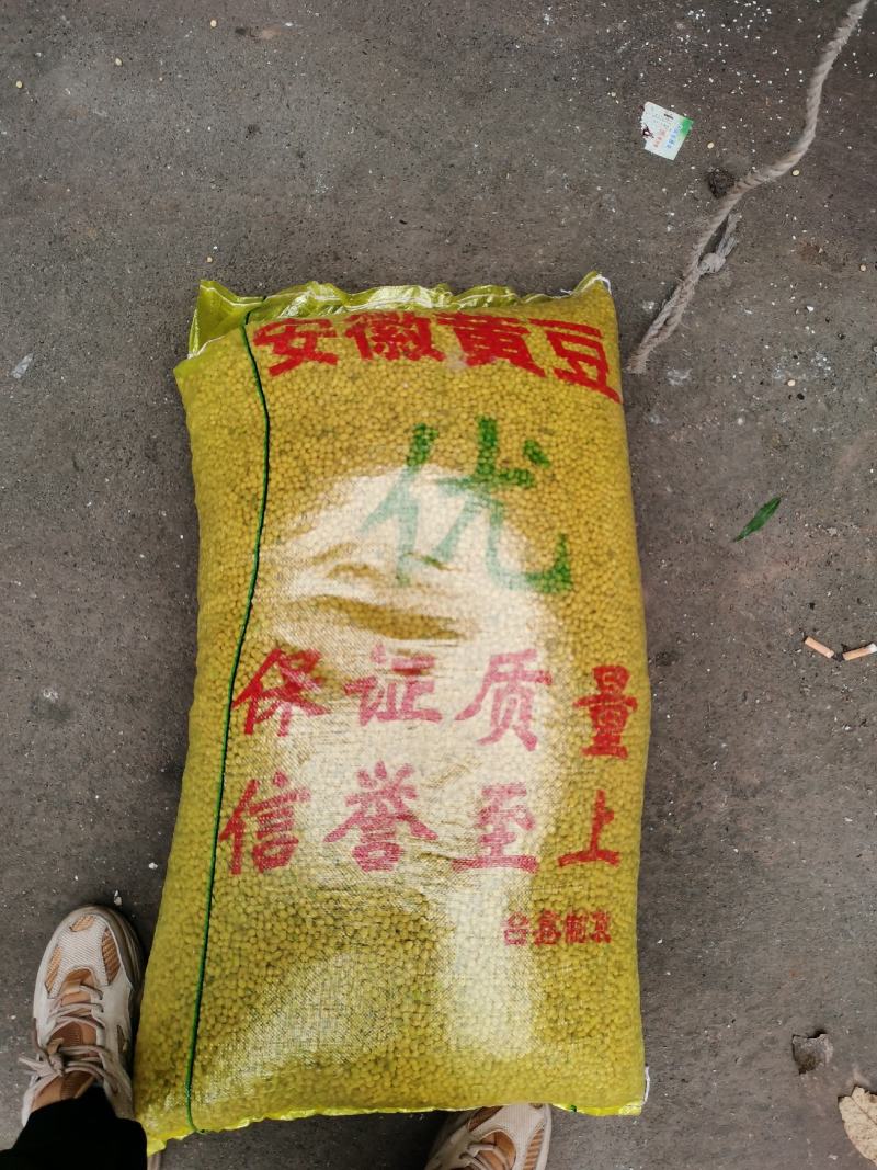 河南大豆。优质大豆。豆腐专用大豆
