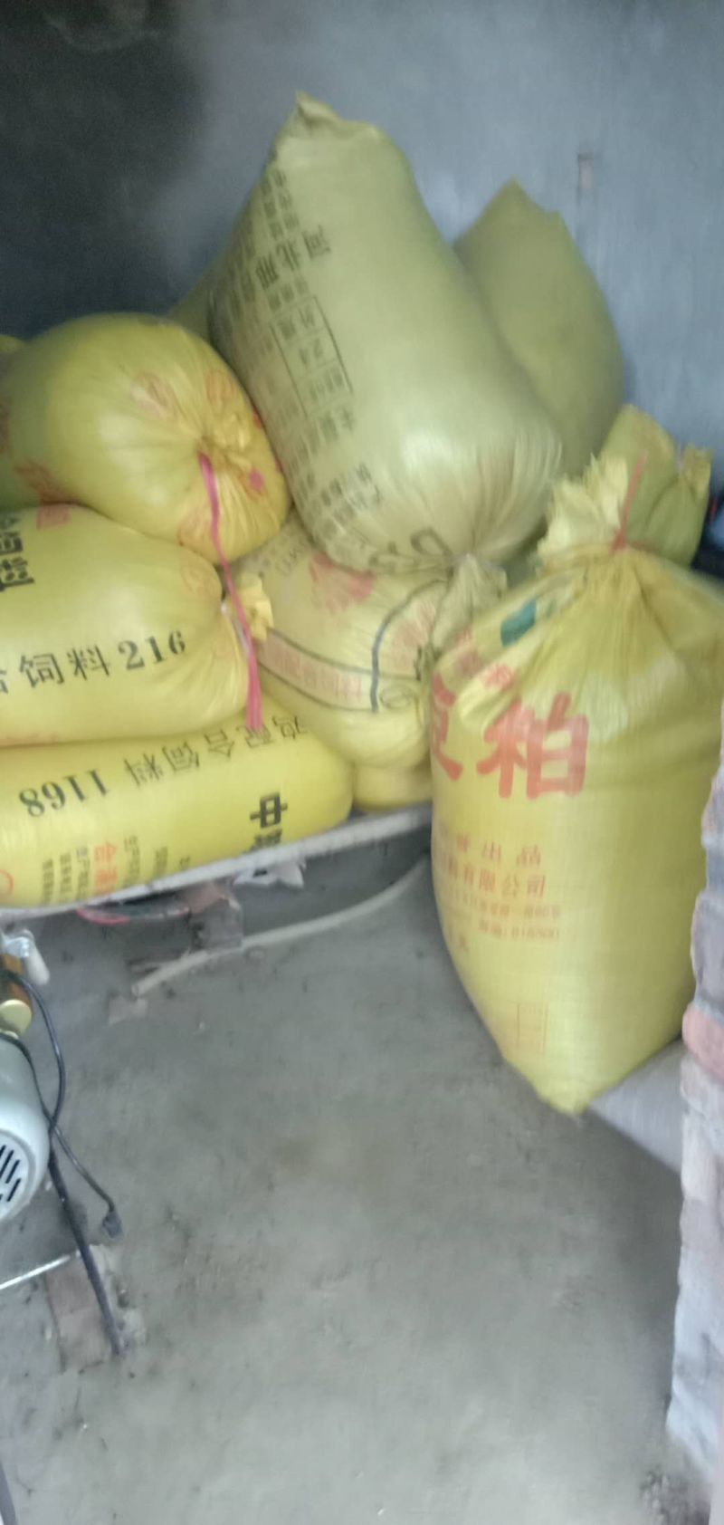 薏米薏仁薏米薏米薏米