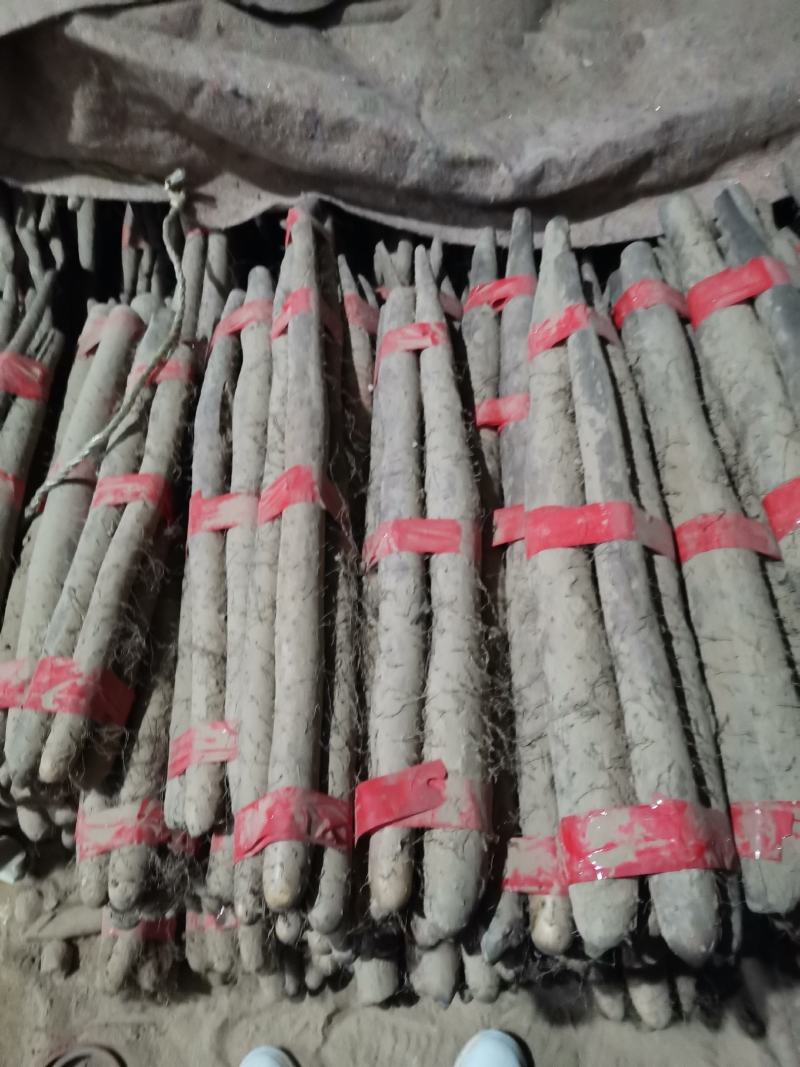 新白玉山药大量上市，价格低质量好！