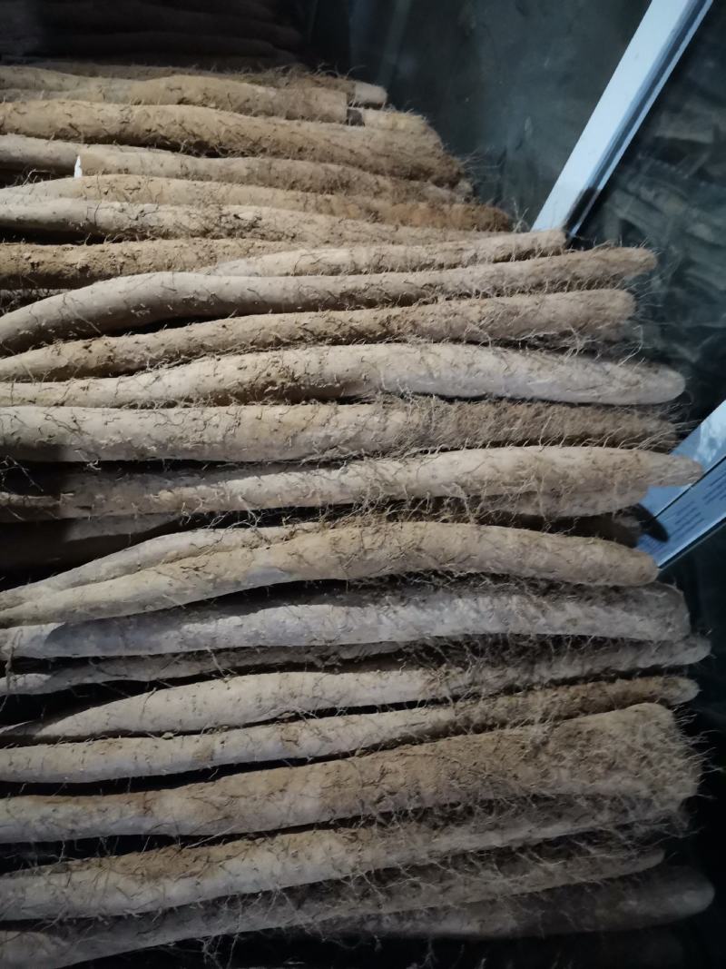 新白玉山药大量上市，价格低质量好！