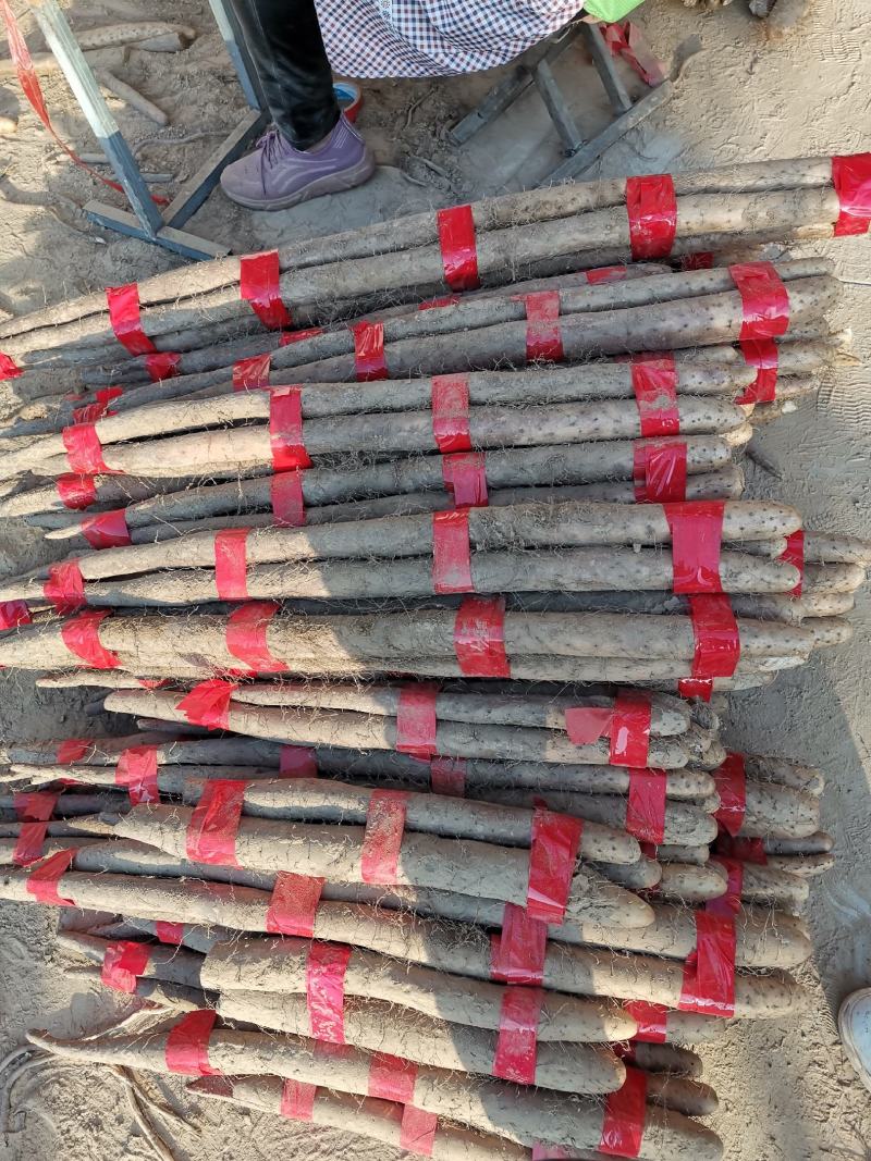 新白玉山药大量上市，价格低质量好！