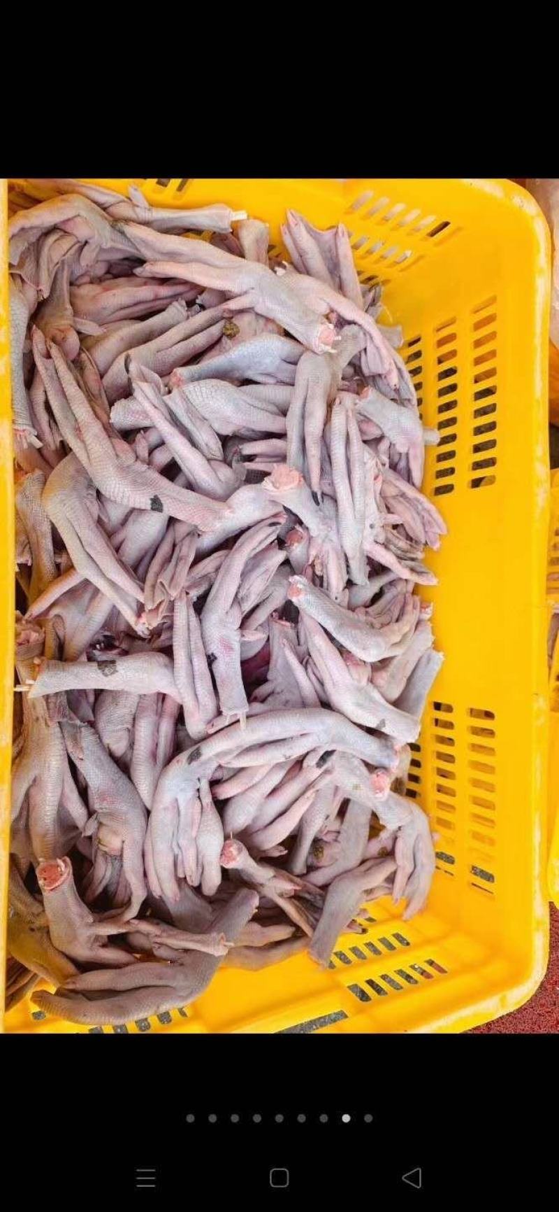 广东黑棕鹅、草鹅、朗德鹅（冰鲜鹅掌亦~两节翅）红烧、卤水