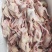 【乳鸽】新鲜现宰全清膛（5两.6两.7两.8两）