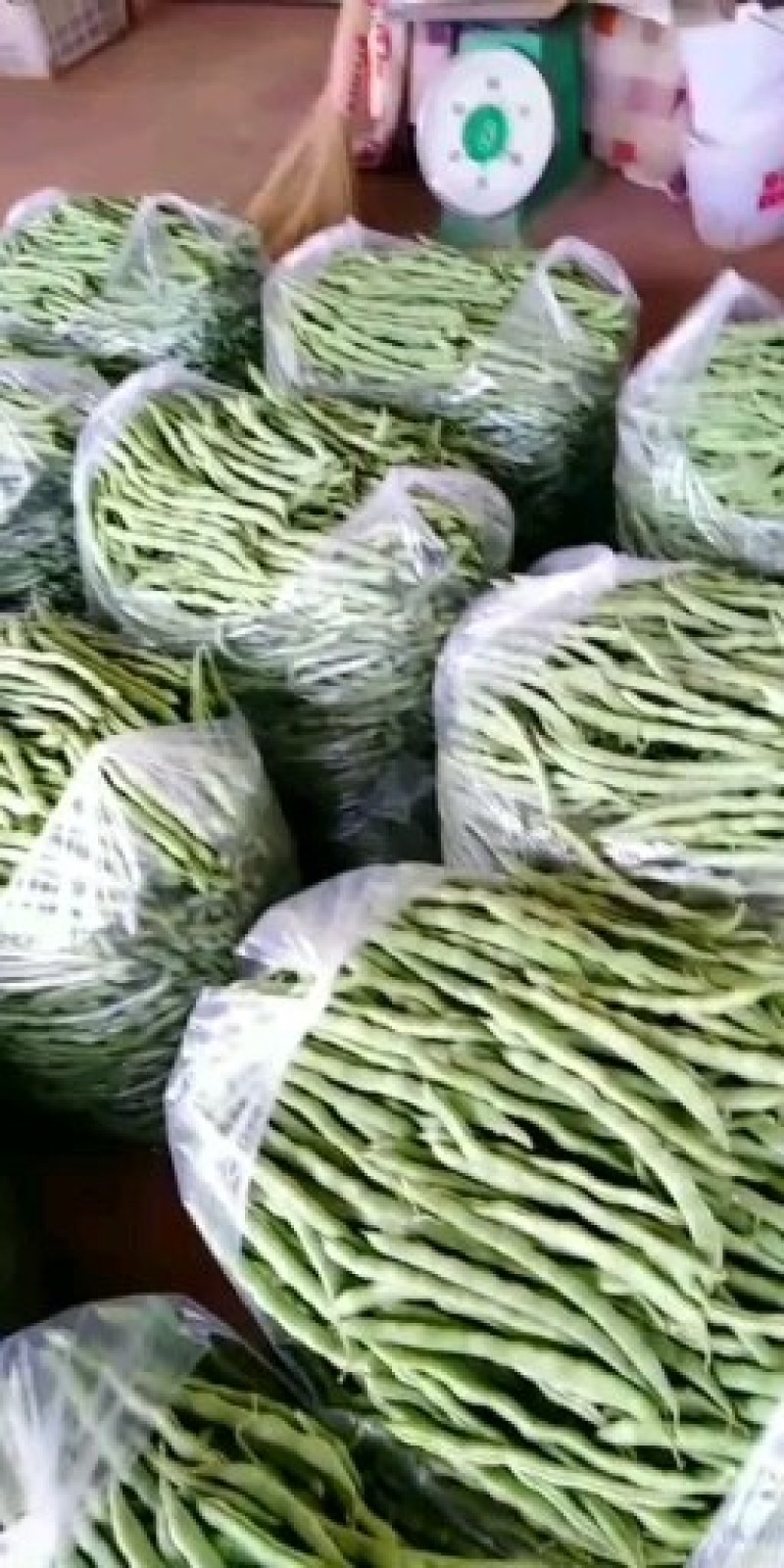 无筋豆大量上市价格便宜，云南蔬菜就是漂亮，欢迎下单。